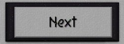 Next Button