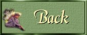 Back Button