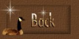 Back Button