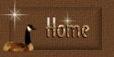 Home Button