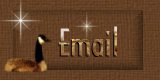 Email Button