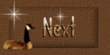 Next Button