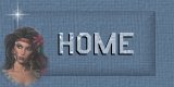 Home Button