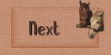 Next Page