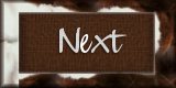 Next Page