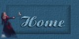 Home Button