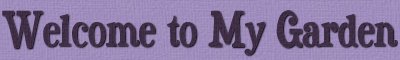 Text