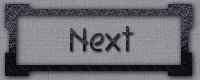 Next Page