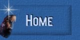 Home Button