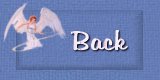 Back Button