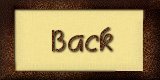 Back Button