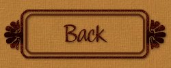 Back Button